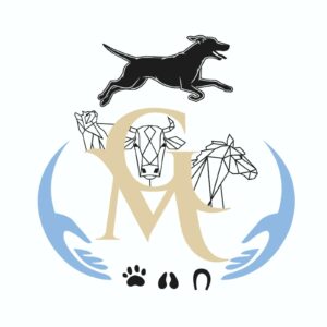 Manon Guyot Ostéopathe animalière