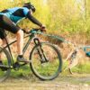 Barre CaniVTT LINK I-DOG