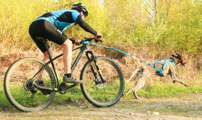 Barre CaniVTT LINK I-DOG