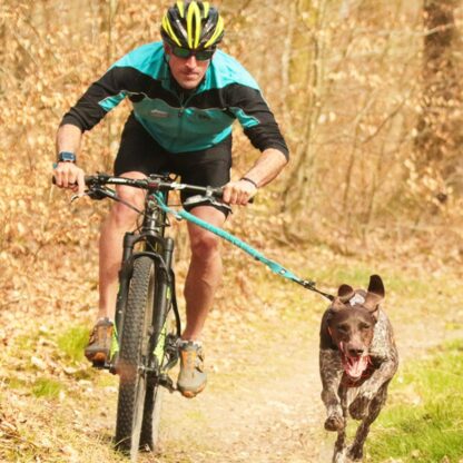 Barre CaniVTT LINK I-DOG