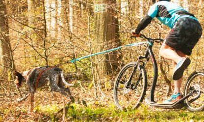 Barre CaniVTT LINK I-DOG