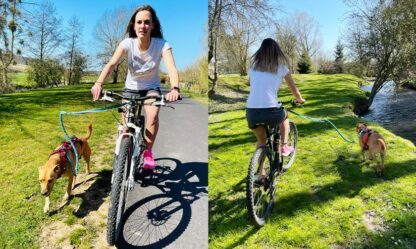 Barre CaniVTT LINK I-DOG