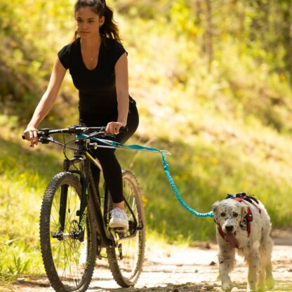 Barre CaniVTT LINK I-DOG