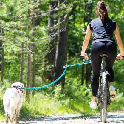 Barre CaniVTT LINK I-DOG
