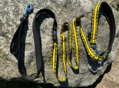 Laisse Anapurna ZERO DC jaune