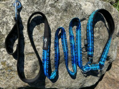Laisse Anapurna ZERO DC turquoise
