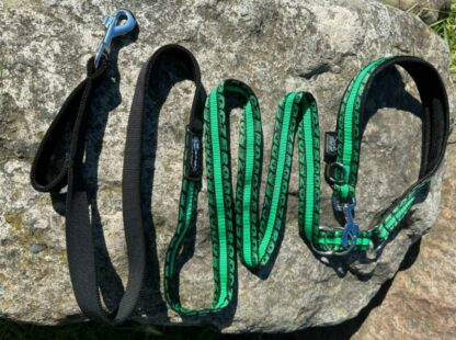 Laisse Anapurna ZERO DC vert