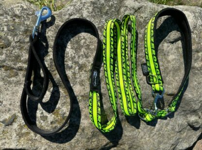 Laisse Anapurna ZERO DC vert fluo