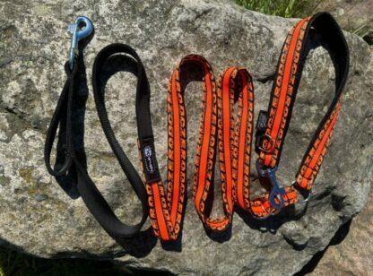 Laisse Anapurna ZERO DC orange