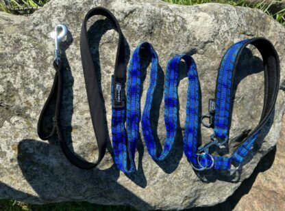 Laisse Anapurna ZERO DC bleue