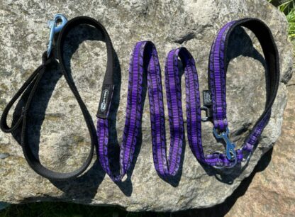 Laisse Anapurna ZERO DC violet