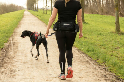 Baudrier Speed Trail ALPHADOGSPORT