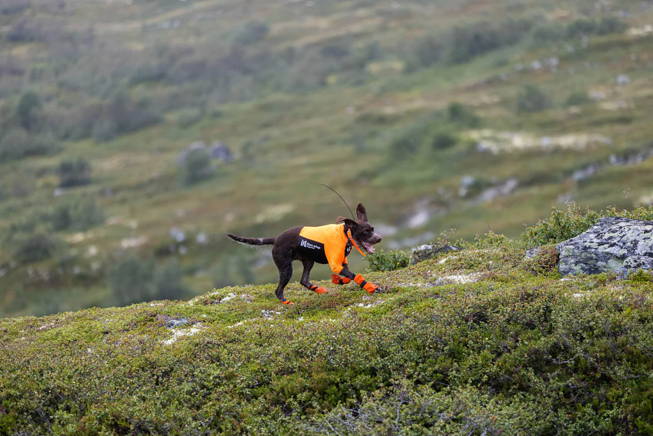 Protector Half Suit NON-STOPDOGWEAR