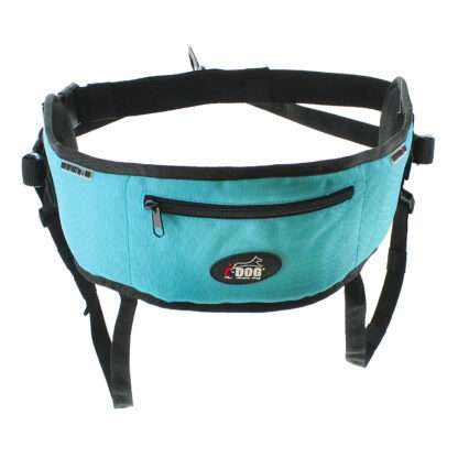 Baudrier One I-DOG