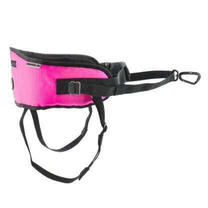 Baudrier One I-DOG