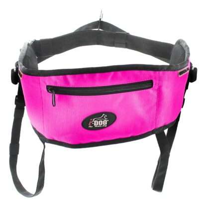Baudrier One I-DOG