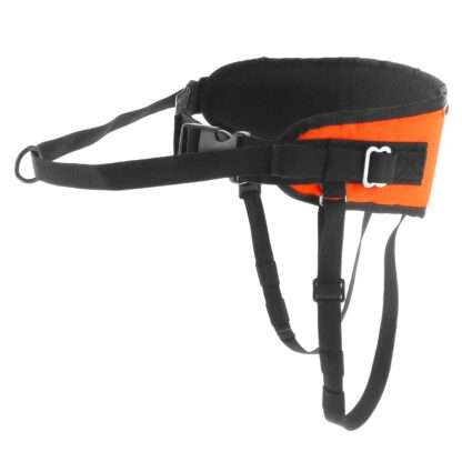 Baudrier One Light I-DOG
