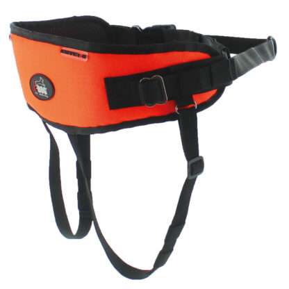 Baudrier One Light I-DOG