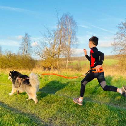 Baudrier One Light I-DOG
