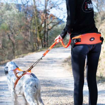 Baudrier One Light I-DOG