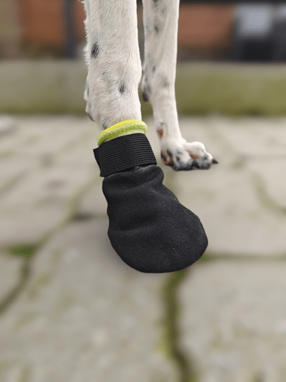 Protector Sock ALPHADOGSPORT