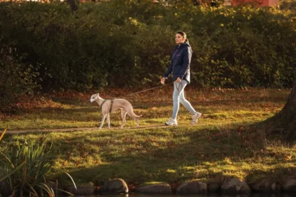 Trail Quest Leash Rachel Pohl Edition
