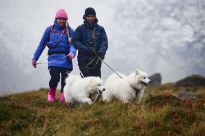 Trail Quest Leash Rachel Pohl Edition
