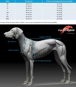 Guide des tailles harnais Blizzard Beast INLANDSIS