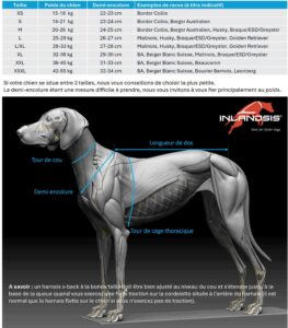 Guide des tailles harnais Polar Evo INLANDSIS