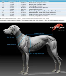 Guide des tailles harnais Polar Quest INLANDSIS