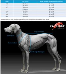 Guide des tailles harnais Storm INLANDSIS